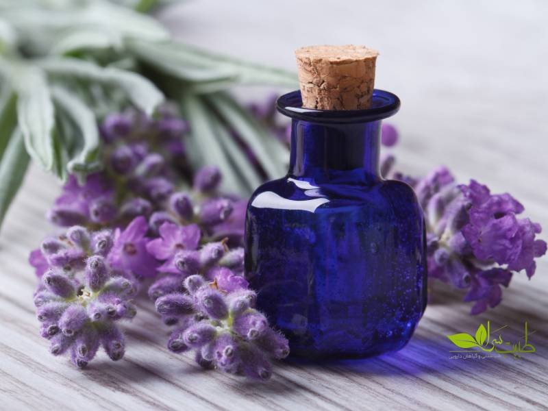 اسطوخودوس برای اعصاب و افسردگی